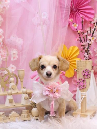 20250320ちくわくん